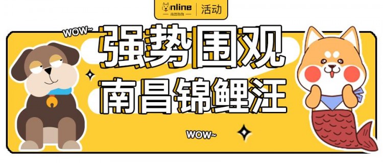 活动丨开奖啦！原来南昌最幸运的狗子是它！