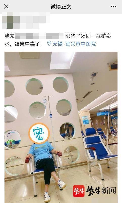 宜兴女子微博说和狗同喝一瓶矿泉水食物中毒了狗狗：这个锅我不背